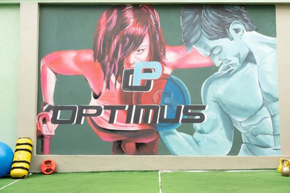 Imagen 3 de la galería del partner Optimus Gym Fitness