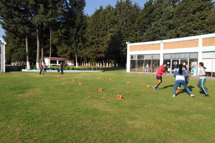 Imagen 8 de la galería del partner Sportway Metepec