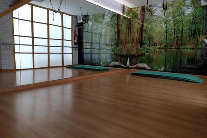 Imagen 1 de la galería del partner Fisioterapia y Pilates Sanz