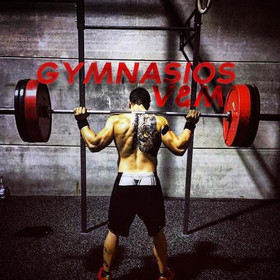 Imagen 5 de la galería del partner Gym V&M