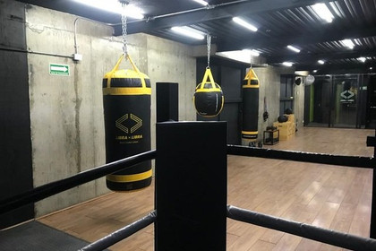 Imagen 6 de la galería del partner Libra x Libra