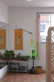 Imagem 4 da galeria do parceiro Espaço Cultivar Saúde