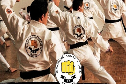 Imagen 5 de la galería del partner Okinawa Karate Do Santa Fe