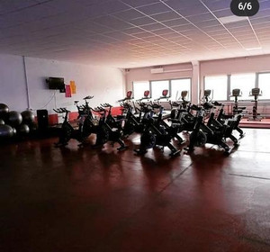 Imagen 7 de la galería del partner Animal Gym Alovera