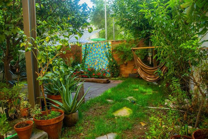Imagen 6 de la galería del partner Shanti Vida
