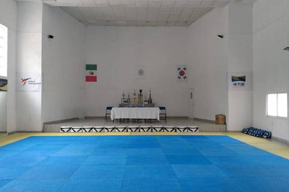 Imagen 2 de la galería del partner Tollan TKD Tula