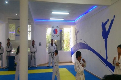 Imagen 3 de la galería del partner Tollan TKD Tula