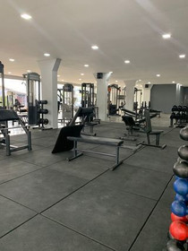 Imagem 1 da galeria do parceiro Premium Light