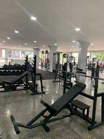 Imagem 2 da galeria do parceiro Premium Light