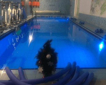 Immagine 7 dalla galleria del partner Blufitness Aquawellness