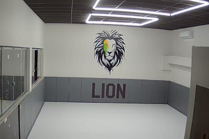 Imagem 3 da galeria do parceiro Lion