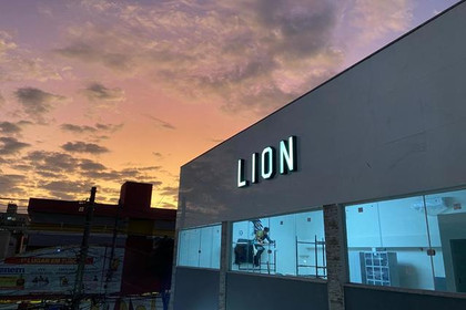 Imagem 5 da galeria do parceiro Lion