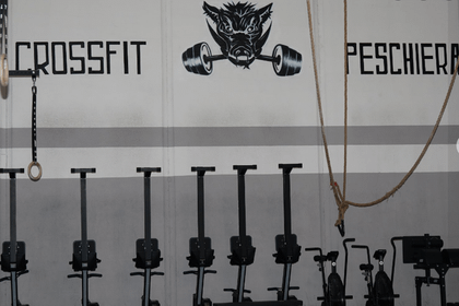 Immagine 5 dalla galleria del partner Crossfit Peschiera Borromeo