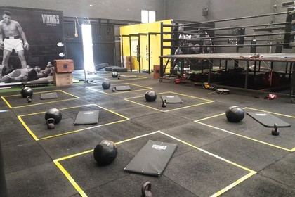 Imagen 1 de la galería del partner Vikings