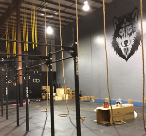 Image 1 from Savage Wolves CrossFit partner gallery