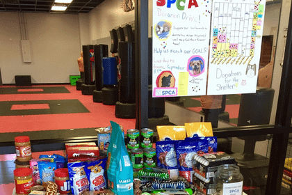 Image 5 from Cabeen's Taekwondo partner gallery