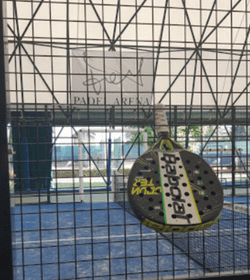 Immagine 8 dalla galleria del partner Chivasso Sporting Club
