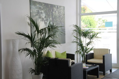 Bild 2 von Trainings- und Therapiezentrum Stark Partnergalerie