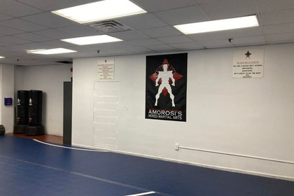 Image 4 from Amorosi's Mixed Martial Arts partner gallery