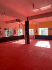 Imagem 4 da galeria do parceiro Academia Personal Training