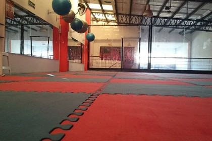 Imagen 6 de la galería del partner Skilful Gimnasio Candioti