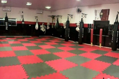 Imagem 2 da galeria do parceiro Striker 0579