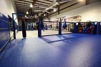 Image 6 from Real Fighters Gym partner gallery