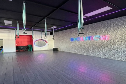 Imagen 2 de la galería del partner Evolution Studio