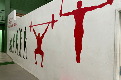 Imagem 6 da galeria do parceiro Efeito Fitness