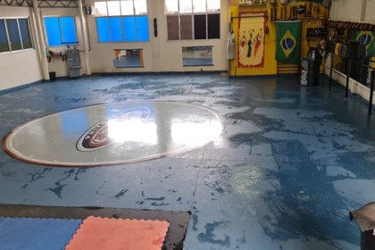 Imagem 1 da galeria do parceiro Associação Cultural de Capoeira Maculele