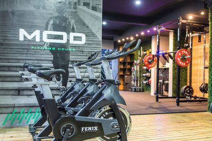 Imagen 3 de la galería del partner Mod