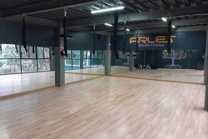 Imagen 5 de la galería del partner Arles Studio Fitness