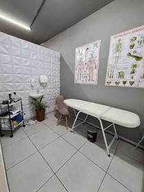 Imagem 3 da galeria do parceiro Fisio Luise Lara / Studio
