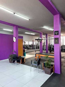 Imagem 4 da galeria do parceiro Fisio Luise Lara / Studio