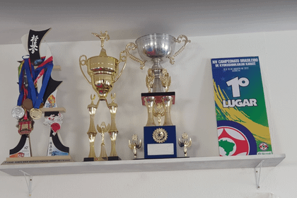 Imagem 5 da galeria do parceiro Associação Guarulhense de Karate Kyokushinkaikan