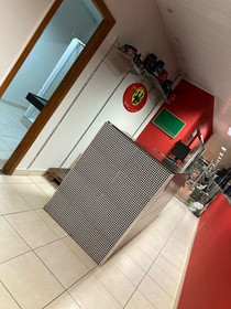 Imagem 9 da galeria do parceiro Impact Gym