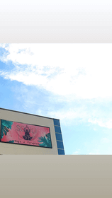 Imagem 2 da galeria do parceiro Sou(l) Livre