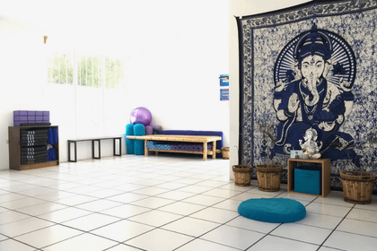 Imagen 4 de la galería del partner Mahadeva Yoga Shala