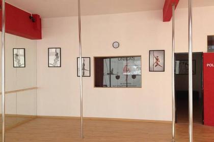 Imagen 1 de la galería del partner Vuela Alto Bailando