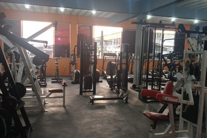Imagem 5 da galeria do parceiro Bad Dog Prime