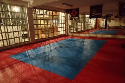 Imagen 1 de la galería del partner Combat Karate