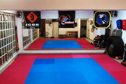 Imagen 4 de la galería del partner Combat Karate