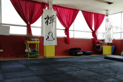 Imagen 1 de la galería del partner Instituto Cultural Shaolin Damosi