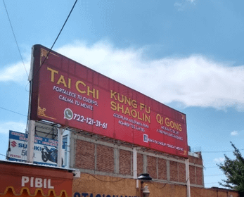 Imagen 2 de la galería del partner Instituto Cultural Shaolin Damosi