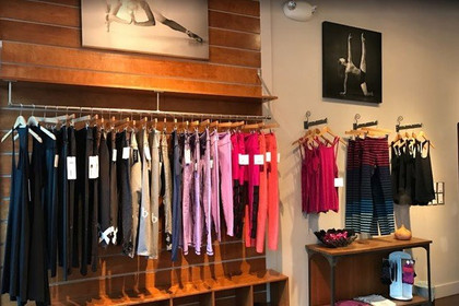 Image 4 from The Ballet Physique partner gallery