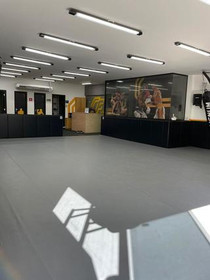 Imagem 3 da galeria do parceiro Olympus Fight - MDS