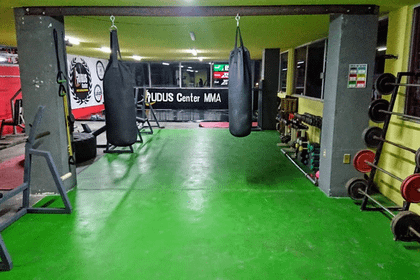 Imagen 1 de la galería del partner Ludus MMA Center