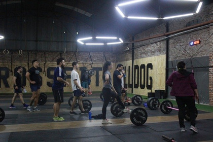 Imagen 3 de la galería del partner Bulldog