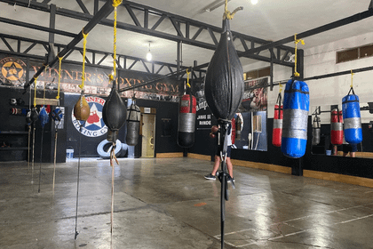 Imagen 2 de la galería del partner Winner's Boxing Gym