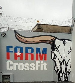 Imagem 5 da galeria do parceiro Farm Crossfit